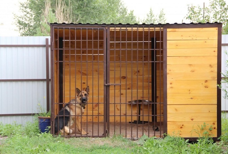 Ev yapımı köpek büyük kuş kafesi