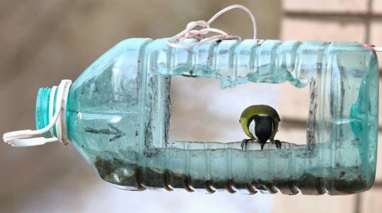 Műanyag palack adagoló madarak számára