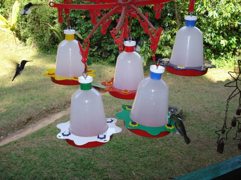 Alimentadores de pássaros DIY