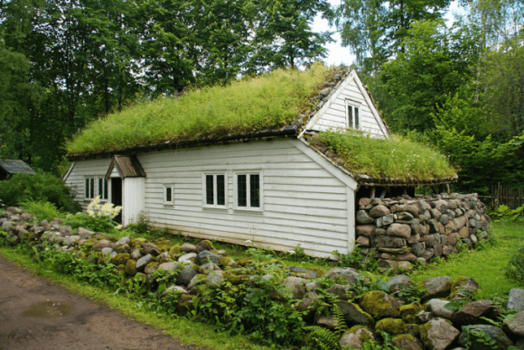 Зеленина на покрива на къщата