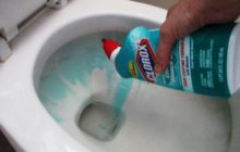 how to clean the toilet from plaque