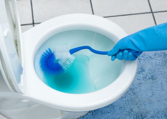 comment nettoyer les toilettes de la plaque