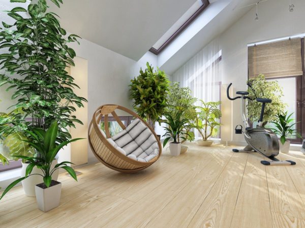 Why are plants indispensable in a home interior?